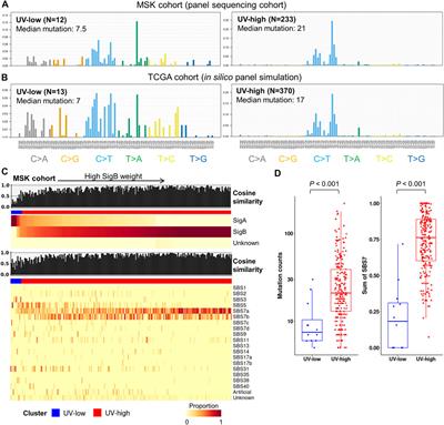 Two subtypes of cutaneous melanoma with distinct mutational signatures and clinico-genomic characteristics